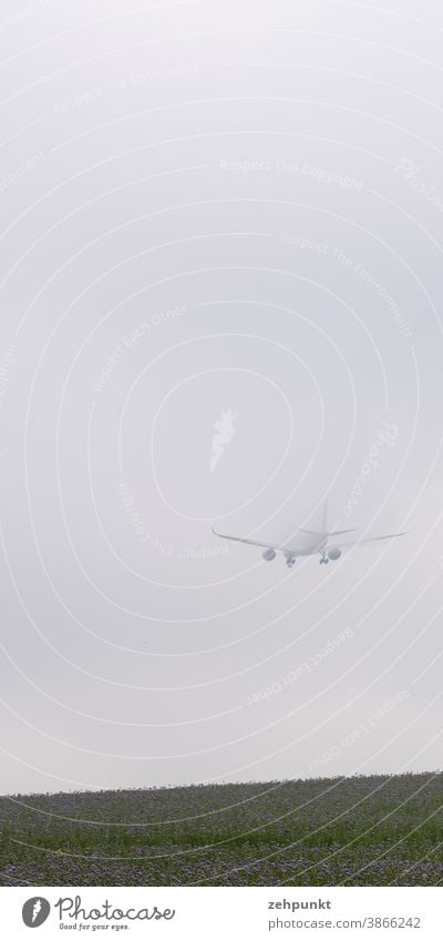 Ein Airbus A359 verschwindet beim Landeanflug im Hochnebel. Flugzeug landung Nebel Wiese Blumenwiese verschwinden Luftverkehr Flughafen Flugzeuglandung Wolken