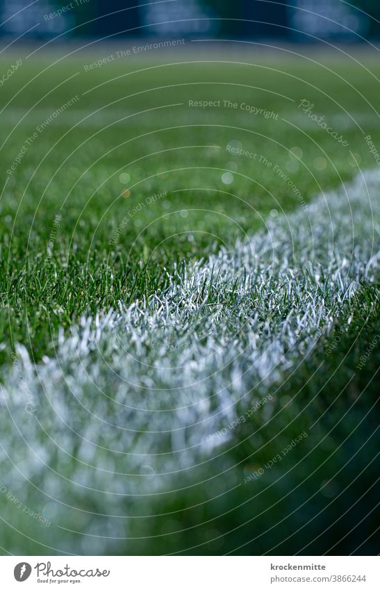 weiße Markierungslinie auf Fussballfeld Fußball Fußballplatz Rasen Sport Außenaufnahme Ballsport grün Menschenleer Farbfoto Freizeit & Hobby Gras Wiese