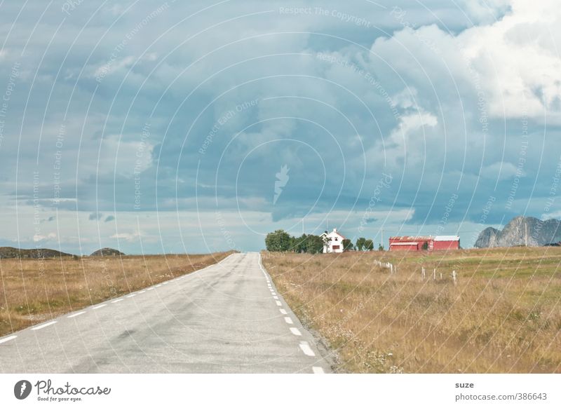 Landweg ruhig Ferien & Urlaub & Reisen Sommer Haus Umwelt Natur Landschaft Himmel Wolken Wiese Feld Dorf Hütte Verkehr Verkehrswege Straße alt authentisch