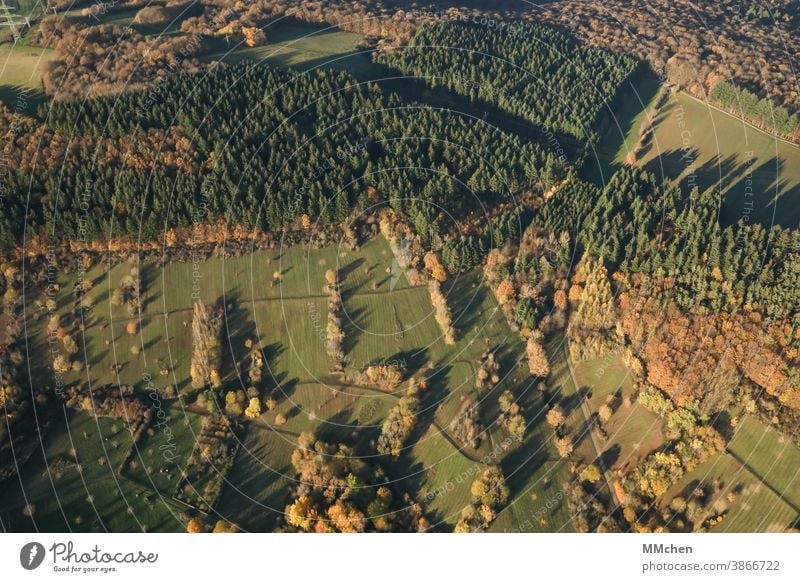 Wiesen und Wälder aus der Vogelperspektive von oben Wald Licht Schatten Baum Nadelbaum Laubbaum Landschaft Herbst Außenaufnahme Natur Schönes Wetter Umwelt