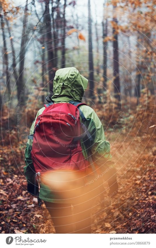 Frau mit Rucksack wandert an einem herbstlich kalten Tag durch einen Wald. Rückenansicht einer aktiven Frau mittleren Alters, die einen Waldweg entlang geht und aktiv Zeit verbringt