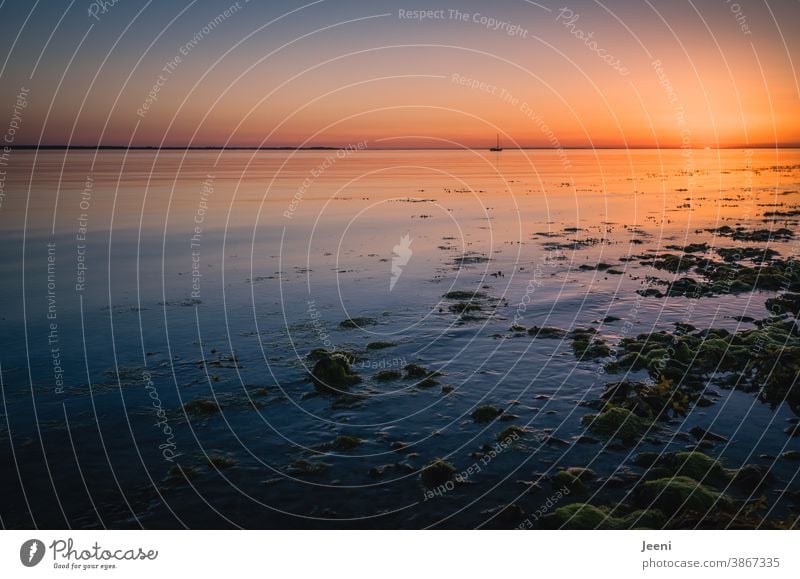 Romantik bei Sonnenuntergang Meer Sommer Sommerabend Ostsee Boot Schiff Segelboot Ostseeküste Sommerurlaub Küste Strand rot blau blaue Stunde Abenddämmerung