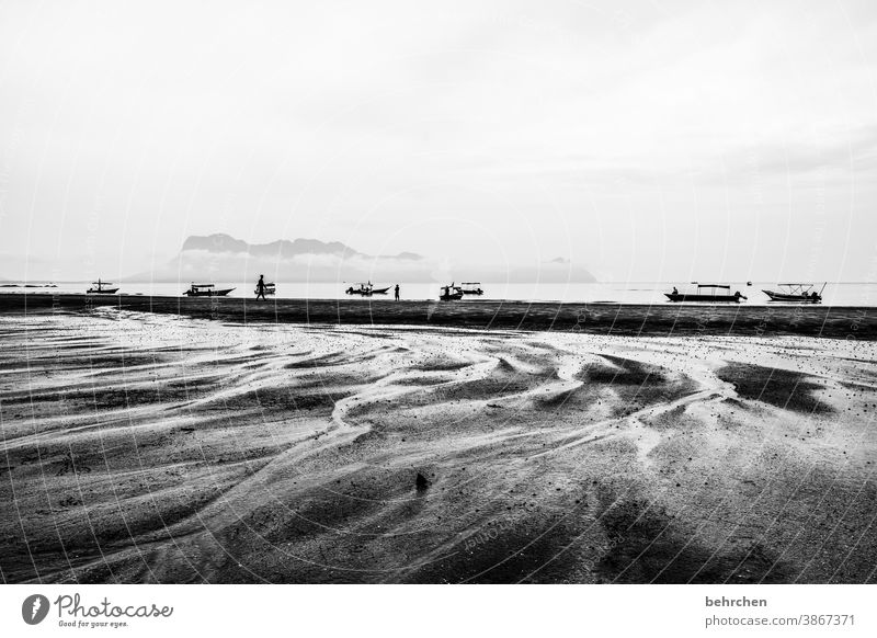 spuren hinterlassen Kontrast Licht Tag Außenaufnahme Sarawak Wasserfahrzeug kommen Rinnsal Sand bako nationalpark Malaysia Borneo Asien schön fantastisch Strand