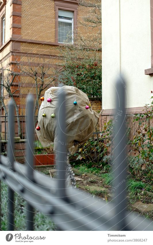 Vorfreude im Vorgarten Advent Adventsschmuck Haus Häuser Stadt urban Zaun Gebäude Außenaufnahme Menschenleer Schutz Christbaumkugel