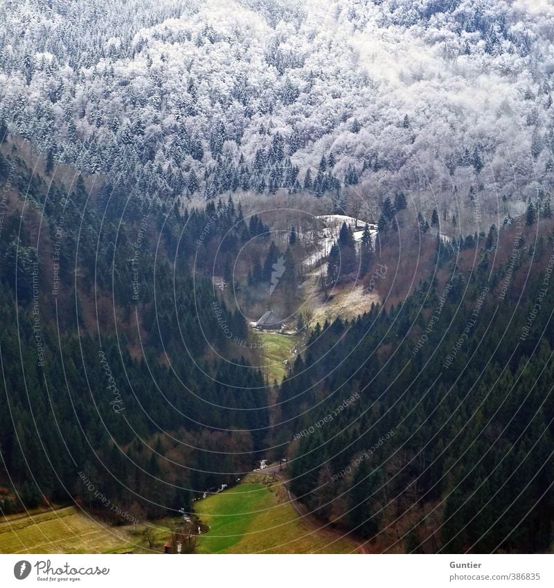 Wandel Natur Landschaft Urelemente Herbst Winter Klima Klimawandel Wetter Schnee Baum Gras Feld Wald Hügel Berge u. Gebirge braun grün weiß Wandel & Veränderung