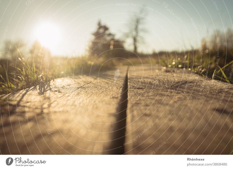 In der Froschperspektive über den Bohlensteg, der Sonne entgegen Bohlenweg Landschaft Farbfoto Natur Menschenleer Umwelt Himmel Pflanze Schönes Wetter