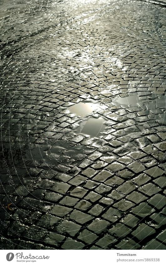 Nasse Pflastersteine Fugen Licht Schatten Platz nass Pfütze Wasser Außenaufnahme Menschenleer Strukturen & Formen Farbfoto Kopfsteinpflaster Sonnenschein