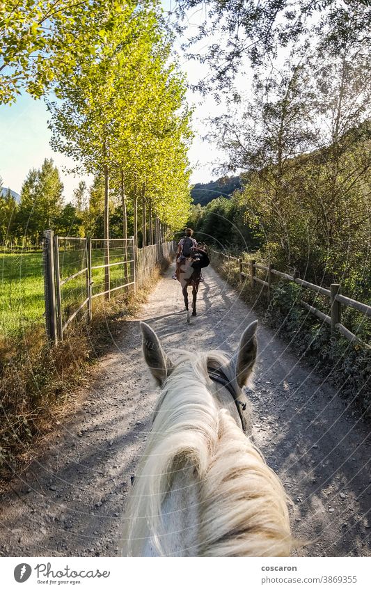 Reiter bei einem Ausritt mit seinem Pferd. Erste Ansicht. aktiv Erwachsener Abenteuer Tier schön Windstille Cloud Dressur Reiterin pferdeähnlich erkunden Wald