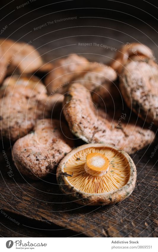 Frische Safran-Milchkappenpilze auf Holztisch Pilz Rotkiefernpilz Lactarius deliciosus Maronenröhrling wild essbar frisch roh organisch Lebensmittel natürlich