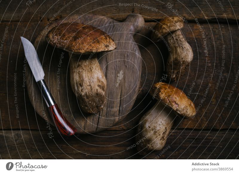 Steinpilze und Messer auf dem Tisch Pilz Steinpilz edulis Maronenröhrling geschnitten frisch roh essbar organisch Lebensmittel natürlich Ernährung rustikal