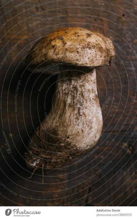 Penny Bun Pilz auf rustikalem Holztisch Penny-Hase frisch hölzern Tisch Ernte Küche Lebensmittel Gesundheit Produkt ungekocht geschmackvoll lecker organisch