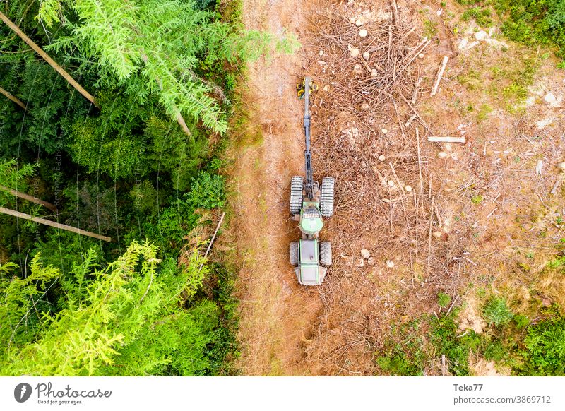 Harvester von Oben 1 harvster wald waldboden holz moderner harvester holzfäller holzfällung maschine sommer Borkenkäfer klimawandel