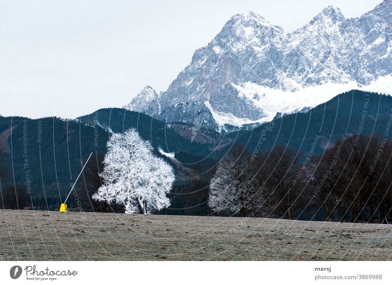 Wenn der Schnee nicht für alle Bäume reicht, beginnen wir mal mit dem Einen. Schneelanze mit eingeschneitem Baum vor imposanter Bergwelt. Berge u. Gebirge Natur