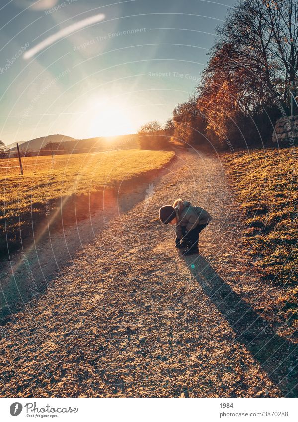 Spaziergang in der Natur Spielen Sonnenlicht Kind Kindheit Fröhlichkeit Außenaufnahme Freude entdecken Sammeln