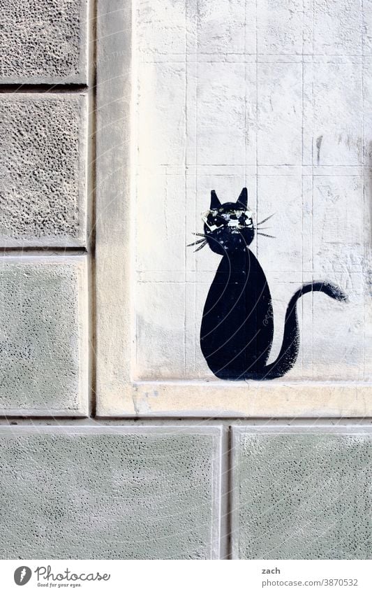 einen Kater haben Gebäude Fassade weiß Linie Linien Strukturen & Formen Geometrie Wand Architektur Mauer Katze Bild Graffiti streetart Tier schwarz