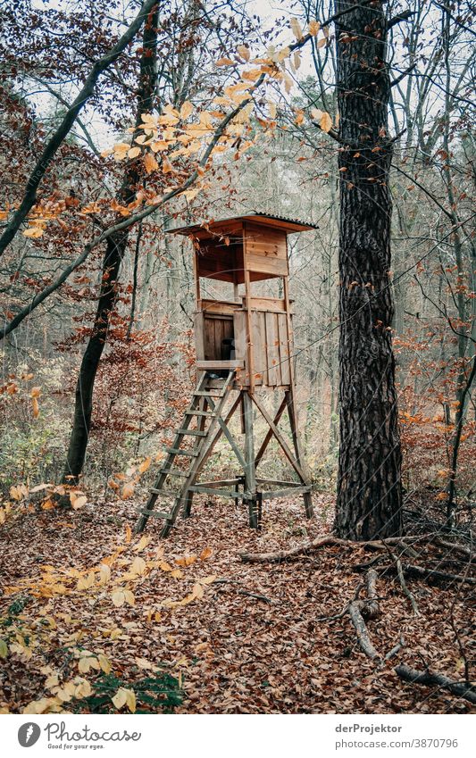 Hochsitz im Brandenburger Naturschutzgebiet II Landschaft Ausflug Umwelt wandern Pflanze Herbst Baum Wald Akzeptanz Vertrauen Glaube Herbstlaub Herbstfärbung