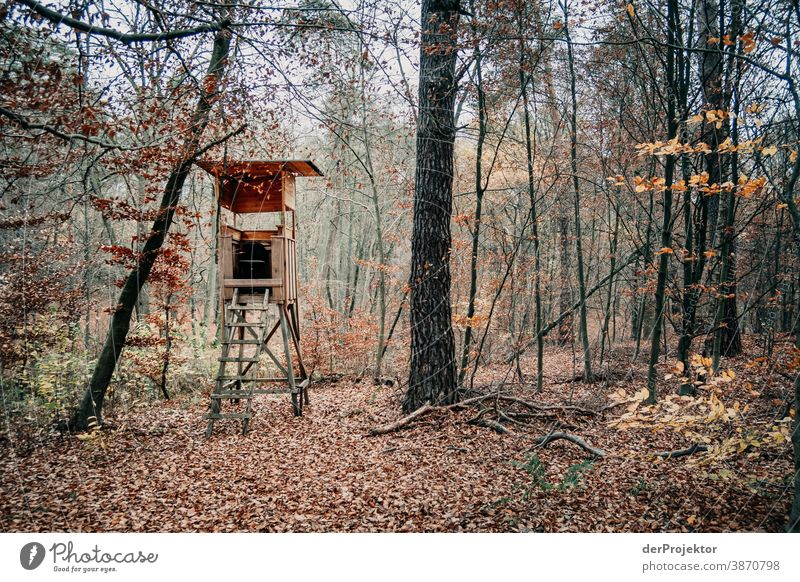 Hochsitz im Brandenburger Naturschutzgebiet Landschaft Ausflug Umwelt wandern Pflanze Herbst Baum Wald Akzeptanz Vertrauen Glaube Herbstlaub Herbstfärbung