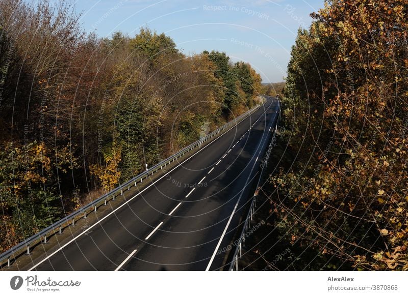 Landschaftsaufnahme einer leeren Straße, die mit Bäumen und Leitplanken umgeben ist im Herbst Landstraße Kraftfahrtsstraße Schnellstraße Mittelstreifen Teer