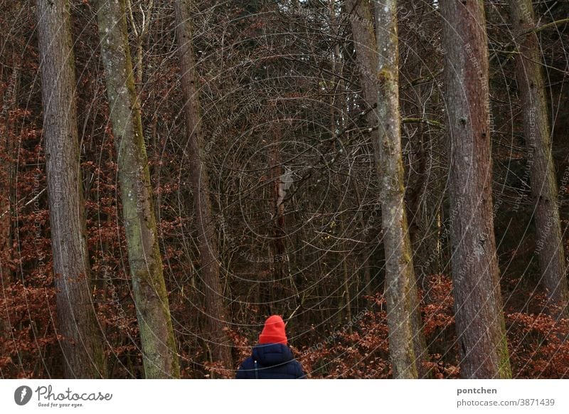 Eine Frau mit knallig roter Mütze und Wintermantel steht im Wald knallrot bäume herbst winter winterkleidung laub blätter erholung Sauerstoff Herbstlaub Natur