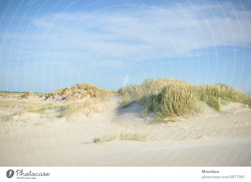 Düne Dünen sommer Strand Ferien & Urlaub & Reisen Natur Himmel Nordsee Küste Landschaft Sand Dünengras Außenaufnahme Erholung Farbfoto Tourismus Wolken Meer