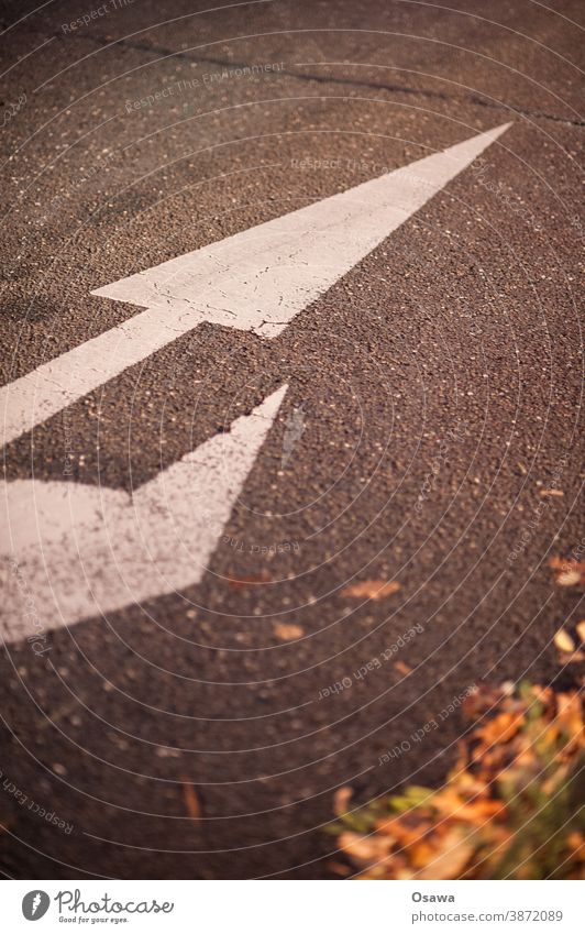 Richtungspfeil im Abendlicht navigation wegzeichen Fahrspur Fahrbahn weiß rechts orientierung menschenleer orange grau Straßenrand Laub geradeaus wegweiser