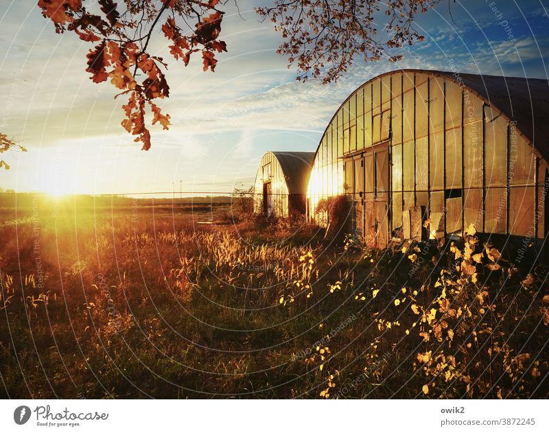 Alte Hangars Lagerhalle Blech Halle Architektur Bauwerk Außenaufnahme Menschenleer Totale Beton Glas Metall alt Farbfoto Gebäude Sträucher Wolken Himmel