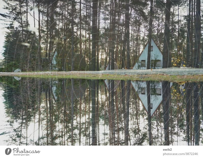 Einsiedelei Feriensiedlung Bungalows Außenaufnahme Farbfoto Natur Erholung einfach Dachschräge Landschaft Baum Wald Dreieck Baumstämme Ferienhaus Ferienhütte