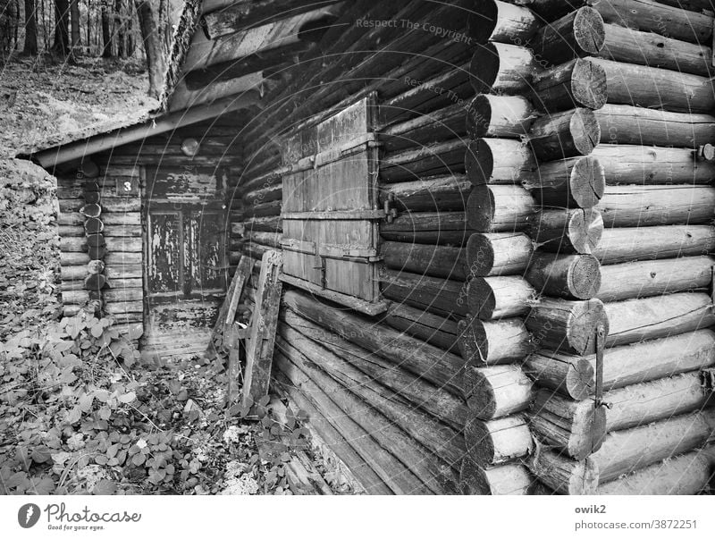 Massiv Holzhütte Hütte Wand Fassade Fenster fest Schwarzweißfoto Außenaufnahme Nahaufnahme Detailaufnahme abstrakt Strukturen & Formen Menschenleer Schutz Ecke