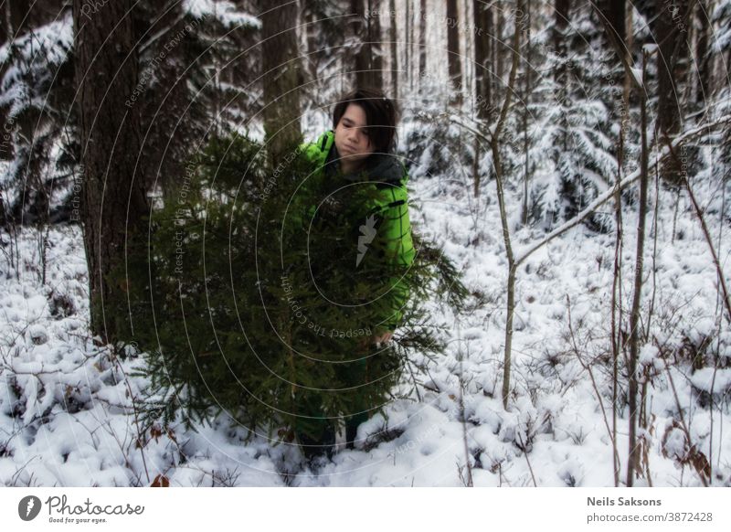 Junger Mann bringt einen Weihnachtsbaum aus dem Winterwald und überwindet Schneeverwehungen und Schneefall. Weihnachtsferien. herbringen führen Feier heiter