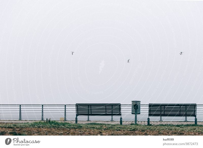 ein Mülleimer , zwei Bänke und drei Möwen  im Nebel am Meer 3 2 1 Bank Herbstwetter Nebelmeer Nebelbank Winter abfallbehälter Sitzbank trist schlechtes Wetter