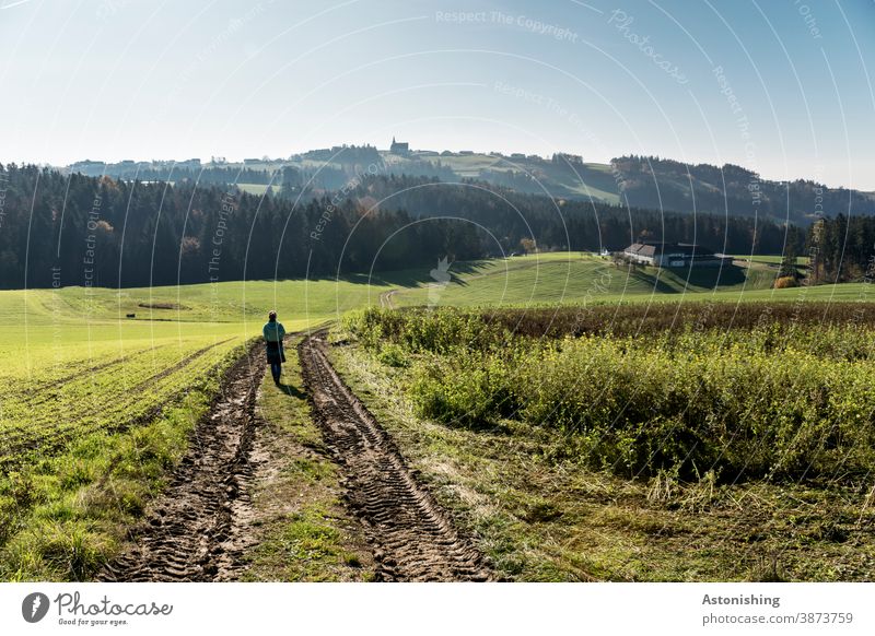 Wandern durch die Landschaft des Mühlviertels Frau Rückansicht Natur Hügel Hügelland Weg Herbst grün Gras Spur Wald Österreich Sonne Wetter gehen schön Himmel