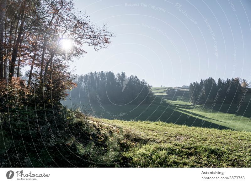 Landschaft im Gegenlicht Natur Mühlviertel Umwelt grün Sonne Sonnenlicht Hügel hügelig Allerheiligen im Mühlkreis Wald Waldrand Gras Wiese Horizont blau Himmel