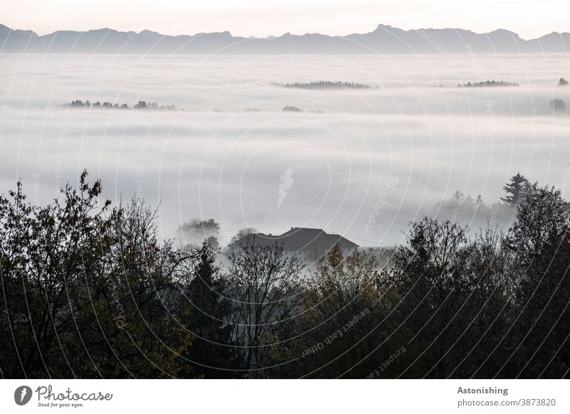 Nebelmeer vor den Bergen Alpen Österreich Wald Natur Aussicht Idyll Haus Bauernhof Dach weiß grau Gipfel Himmel Weite Horizont Bäüme weich Mühlviertel Wipfel