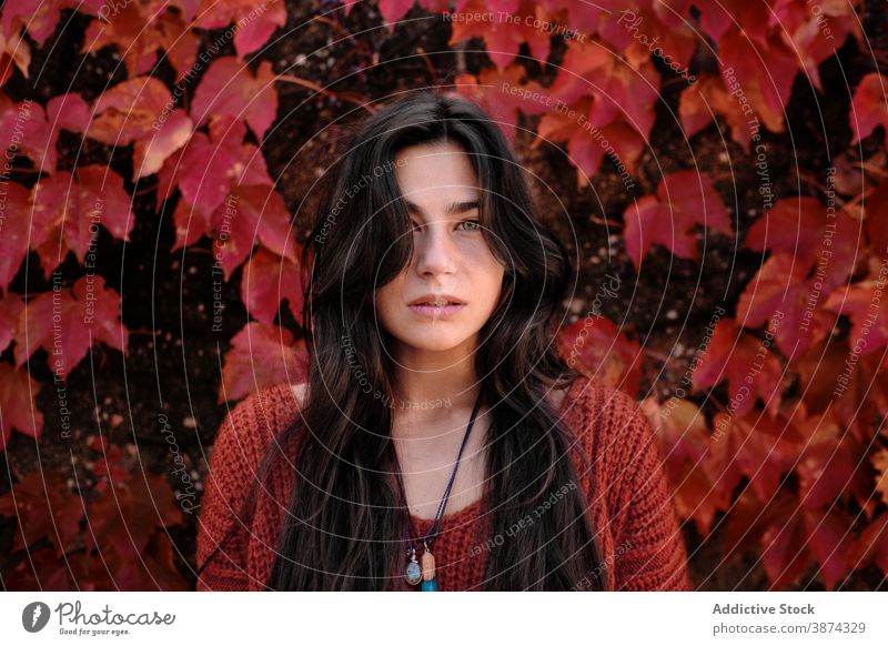 Frau stehend auf rote Herbstblätter Wand Blatt Laubwerk unglücklich traurig Farbe Porträt brünett jung Saison fallen Natur Park Windstille Dame farbenfroh hell