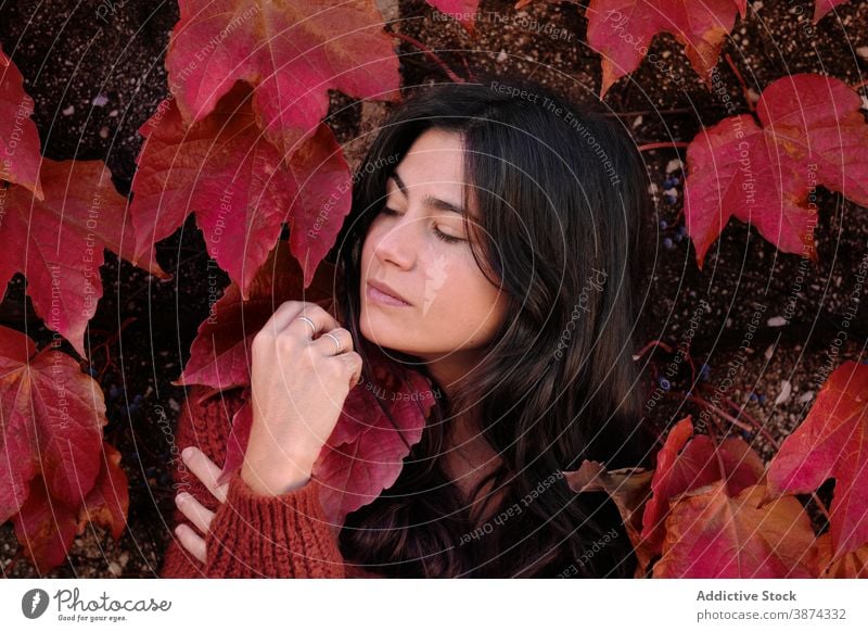 Frau stehend auf rote Herbstblätter Wand Blatt Laubwerk Farbe Porträt brünett jung Saison fallen Natur Park Windstille Dame farbenfroh hell natürlich Stimmung