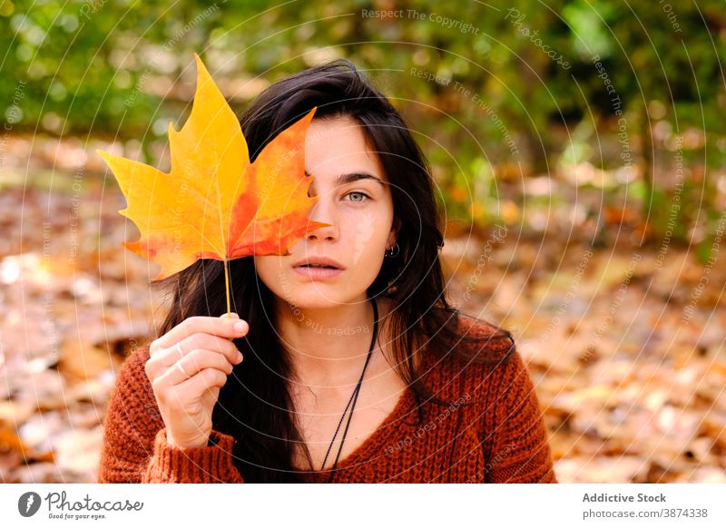 Frau mit Ahornblatt im Herbst Park Laubwerk Blatt Wald Tierhaut zeigen fallen Baum jung Natur Saison ruhen Lifestyle schön farbenfroh Kälte Deckung positiv