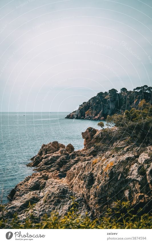 Vertikale Landschaft einer felsigen Küste mit etwas Vegetation Costa Brava calella de palafrugell Palamos Ansichten MEER Wasser mediterran Katalonien