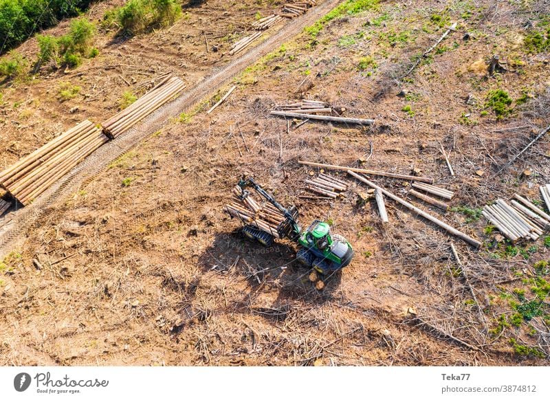 Harvester von Oben 2 klimawandel Borkenkäfer sommer maschine holzfällung holzfäller moderner harvester waldboden