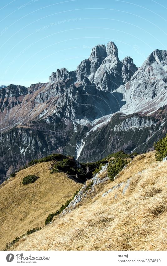 Herbst in den Bergen. Mit der Bischofsmütze Berge u. Gebirge wandern Alpen Felsen Gipfel Landschaft Natur Ferien & Urlaub & Reisen Tourismus Österreich