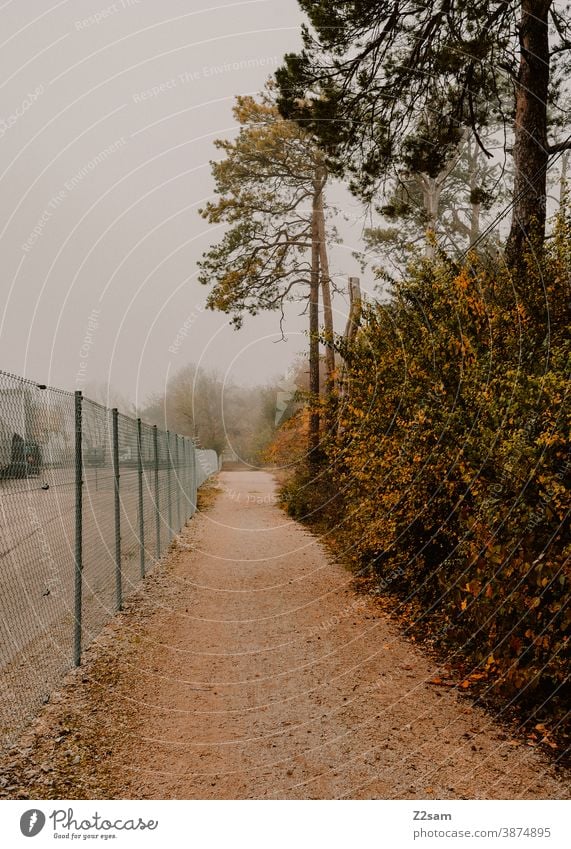 Fußgängerwege am Rande eines Industriegebiets mit angrenzendem Wald Spazieren gehen fußgängerweg warm nebel herbst herbstfarben bäume sträucher natur landschaft