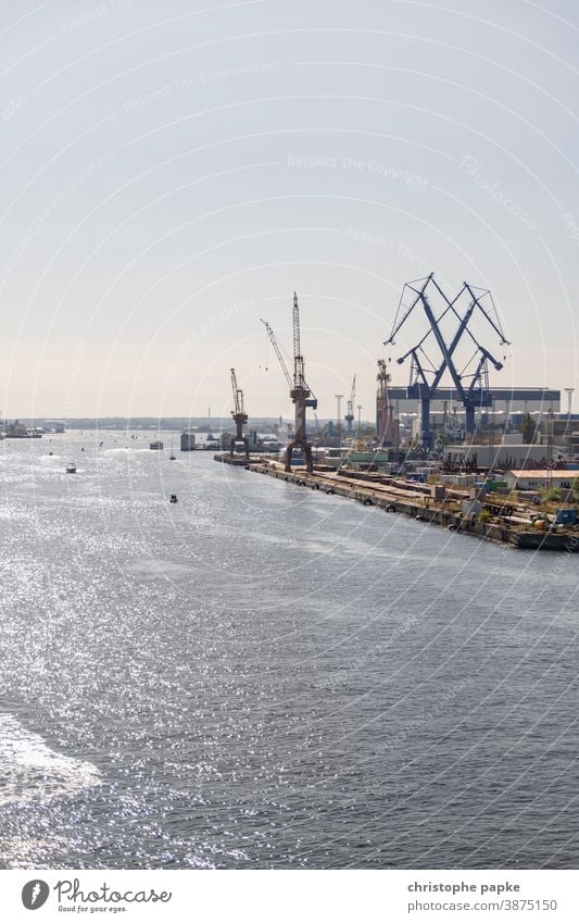 Hafen Warnemünde Werft Kran Industrie Hafenkran Meer Ostsee Fluss Güterverkehr & Logistik Arbeit & Erwerbstätigkeit Schifffahrt Textfreiraum oben Außenaufnahme