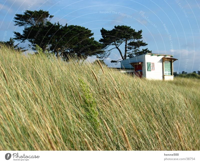 Düne in Bretagne Frankreich Strand Sommer Europa Stranddüne Wind