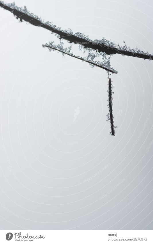 Miteinander hängen lassen muss nicht immer nur chillen sein. Winterlich verzierte Eisinstallation der Natur gefroren Eiskristalle sonderbar kalt Frost verbunden