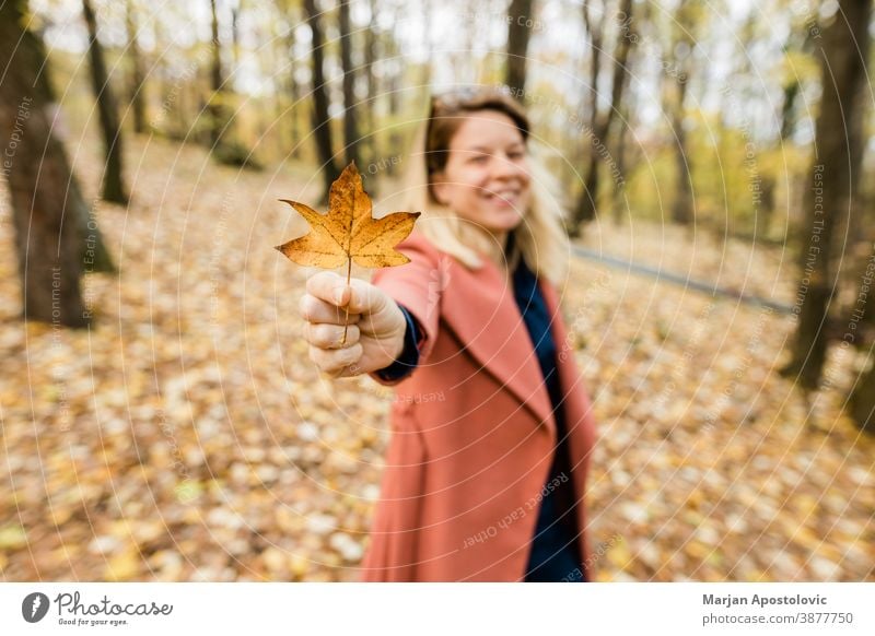 Junge Frau hält gelbes Herbstlaub im Wald 30s Erwachsener schön Schönheit blond Kaukasier heiter Farbe niedlich genießen fallen Laubwerk frisch Spaß Mädchen