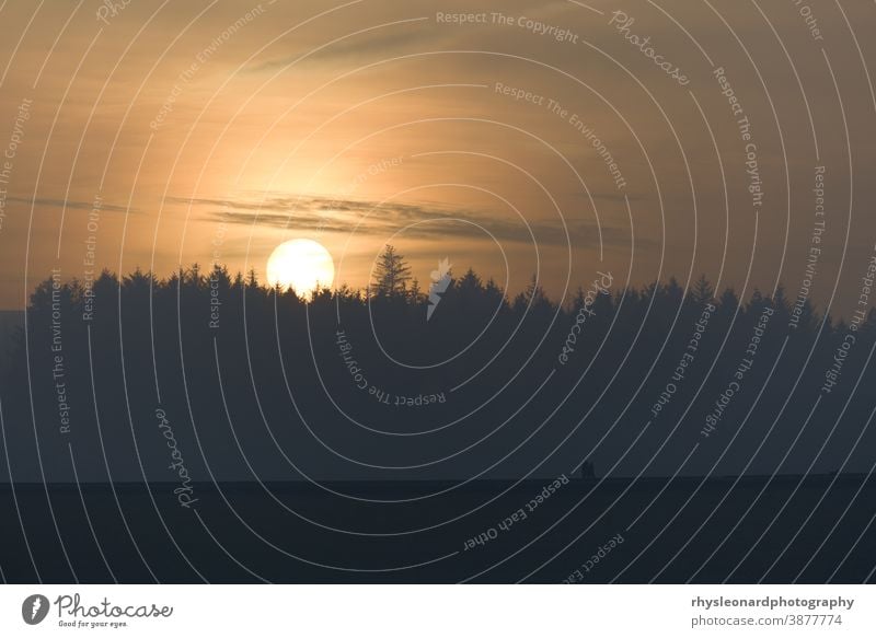 Drei Personen und ein Hund gehen unter der dunstigen Herbstsonne auf einer Staumauer spazieren Sonnenuntergang Landschaft Menschen ermuntert Stauseen warm