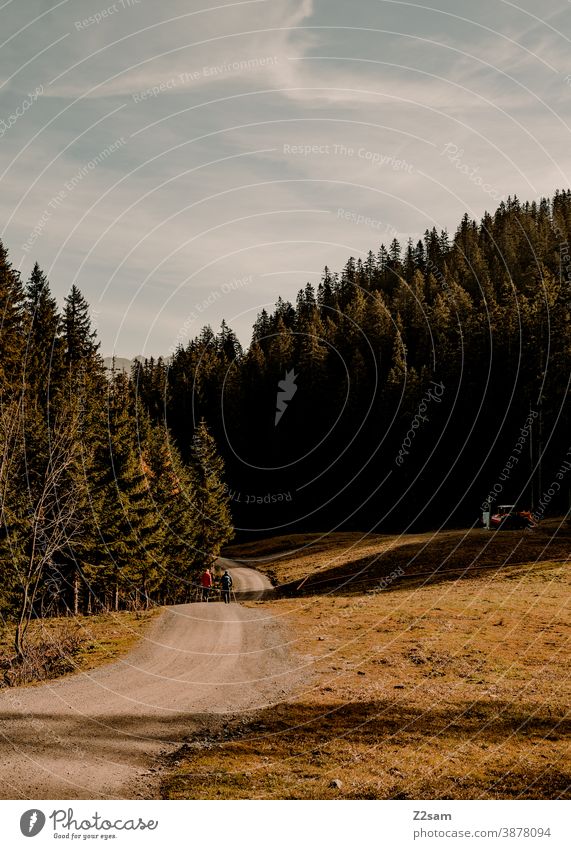 Berglandschaft in den bayerischen Alpen schliersee spitzing wandern herbstfarben outtdoor ausflug bewegung wandertour Berge u. Gebirge alpen bayern himmel blau