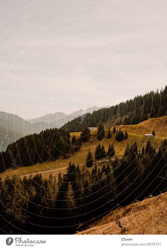 Berglandschaft in den bayerischen Alpen schliersee spitzing wandern herbstfarben outtdoor ausflug bewegung wandertour Berge u. Gebirge alpen bayern himmel blau