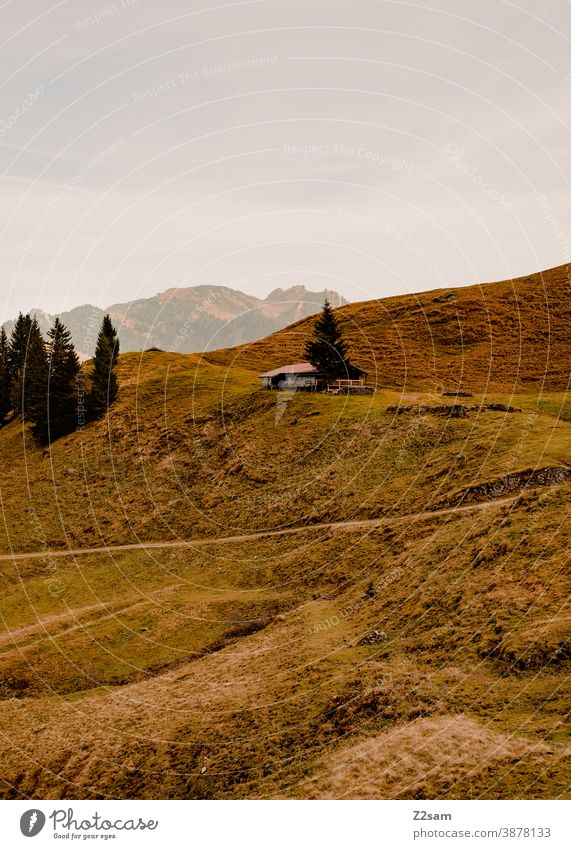 Berglandschaft in den bayerischen Alpen schliersee spitzing wandern herbstfarben outtdoor ausflug bewegung wandertour Berge u. Gebirge alpen bayern himmel blau