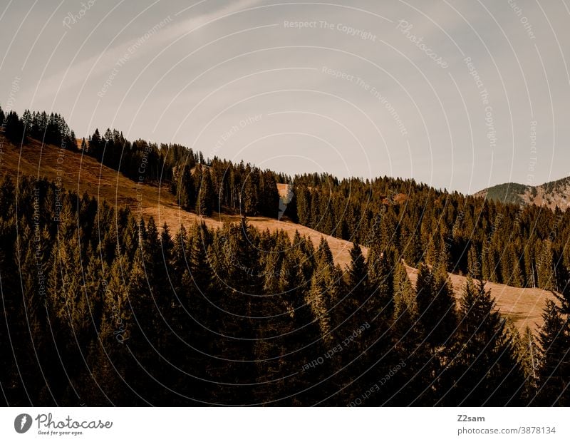 Berglandschaft in den bayerischen Alpen schliersee spitzing wandern herbstfarben outtdoor ausflug bewegung wandertour Berge u. Gebirge alpen bayern himmel blau