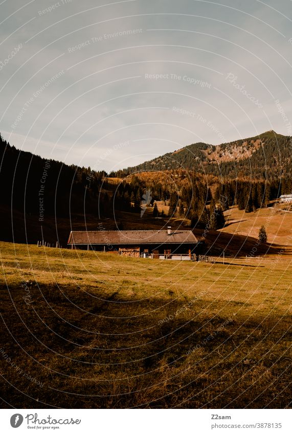 Berglandschaft in den bayerischen Alpen mit Hütte schliersee spitzing wandern herbstfarben outtdoor ausflug bewegung wandertour Berge u. Gebirge alpen bayern